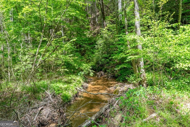 view of local wilderness