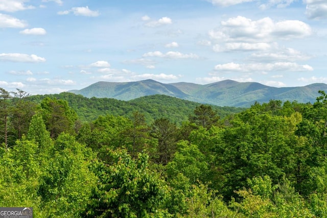 view of mountain feature