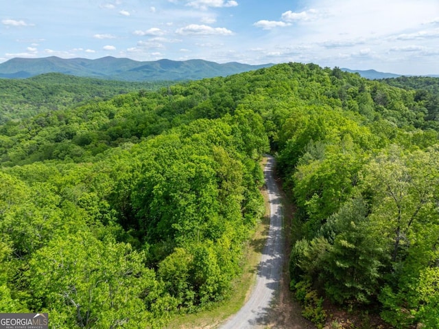 property view of mountains