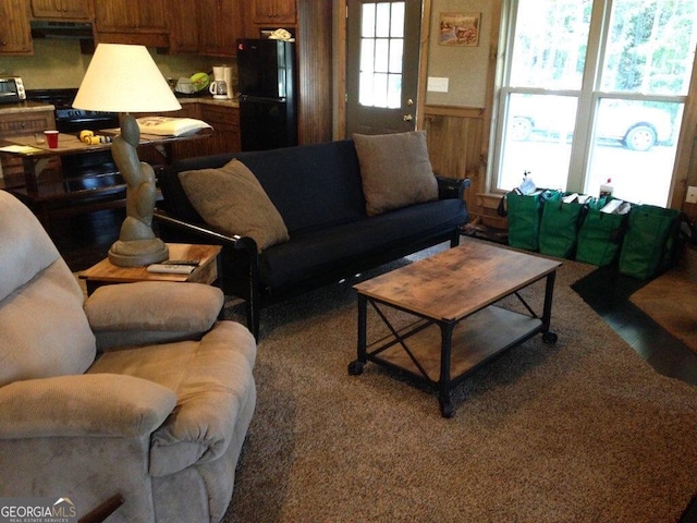 living room featuring wooden walls