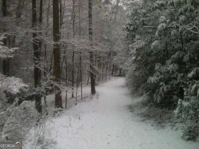 view of local wilderness