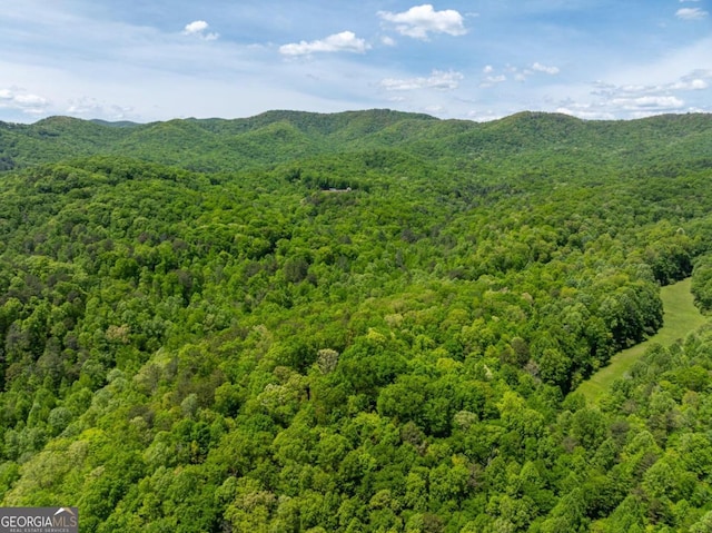 view of mountain feature