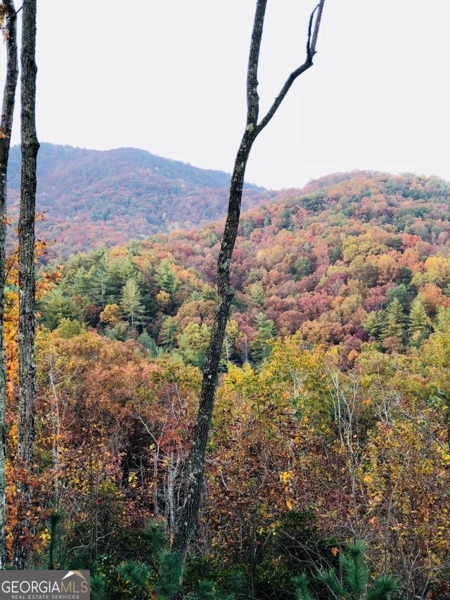 view of mountain feature