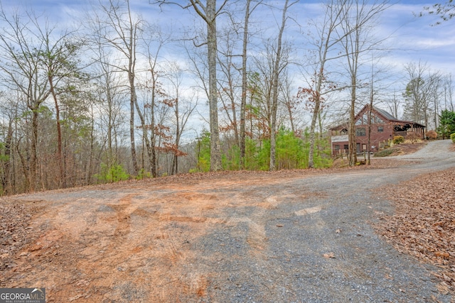 943 Aurora Ln, Ranger GA, 30734 land for sale