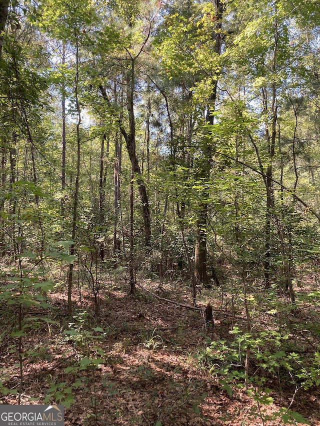 0 Firetower Rd, Cusseta, GA 31805