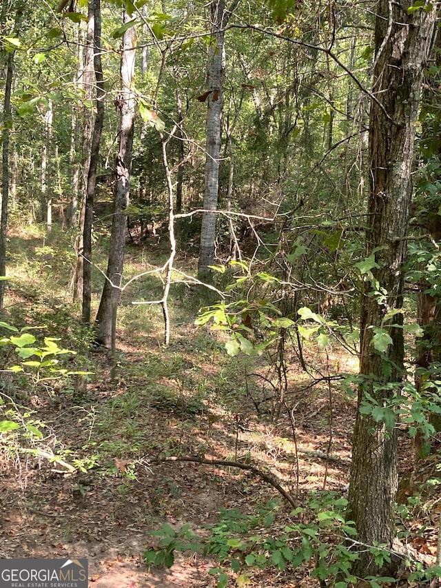 0 Firetower Rd, Cusseta, GA 31805