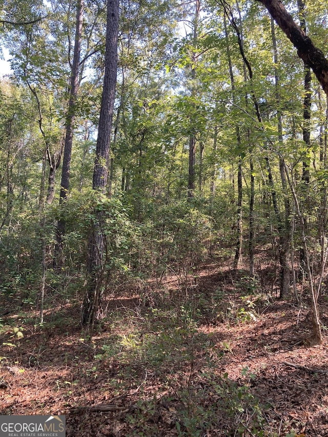0 Firetower Rd, Cusseta, GA 31805