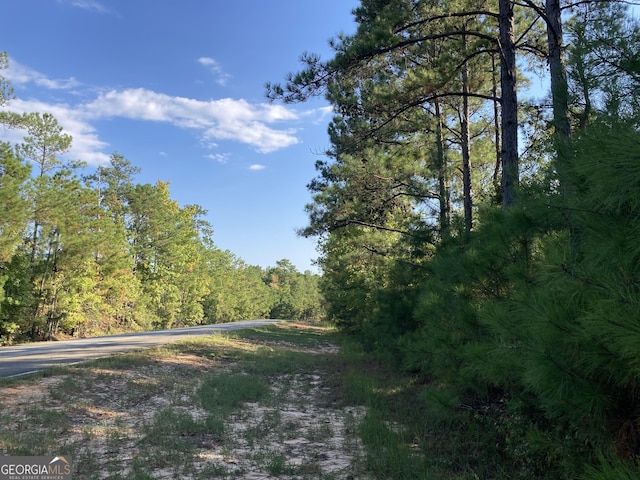 0 Firetower Rd, Cusseta, GA 31805