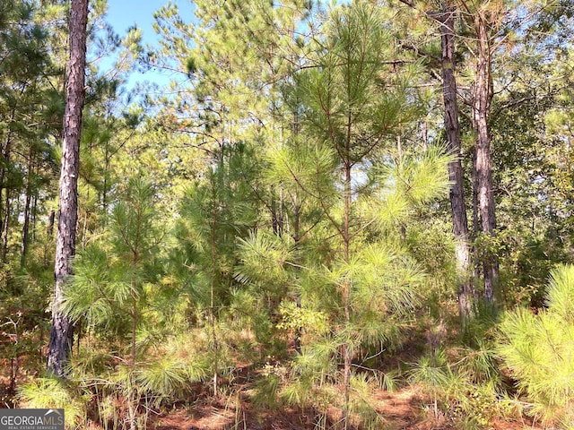 0 Firetower Rd, Cusseta, GA 31805