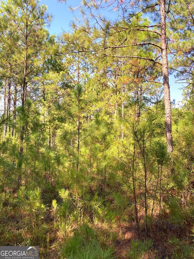 0 Firetower Rd, Cusseta, GA 31805