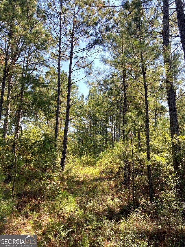 0 Firetower Rd, Cusseta, GA 31805