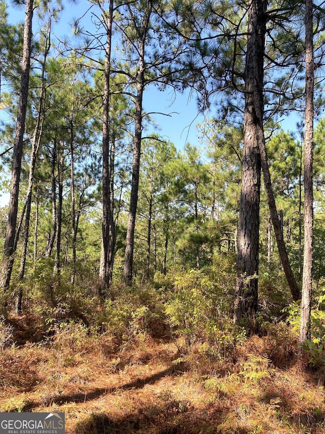 0 Firetower Rd, Cusseta, GA 31805