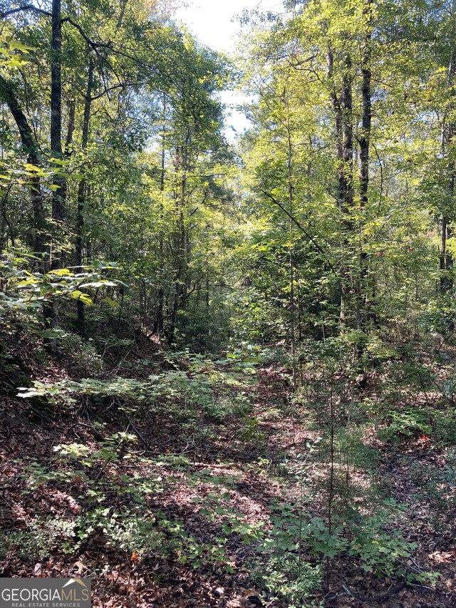 0 Firetower Rd, Cusseta, GA 31805