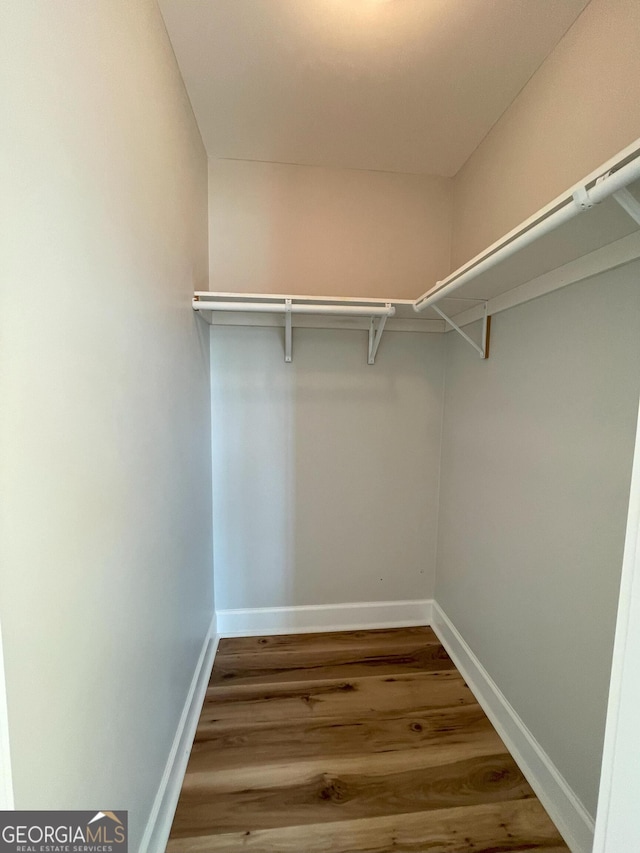 walk in closet featuring wood-type flooring