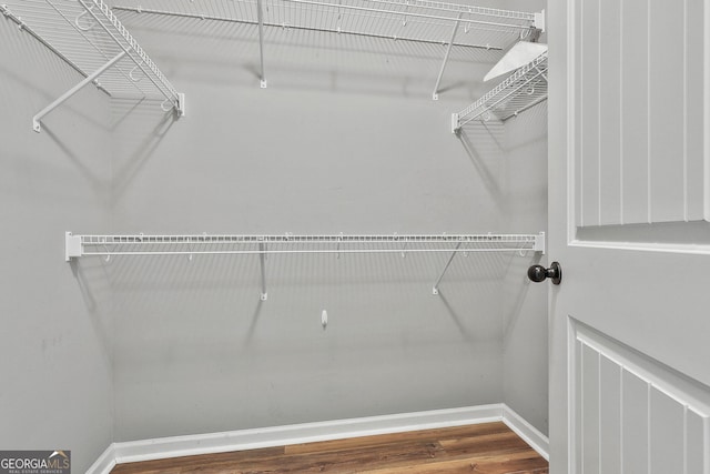 walk in closet featuring wood finished floors