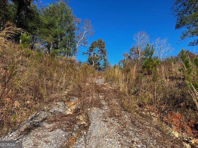 Listing photo 2 for LOT112 High River Xing, Ellijay GA 30540