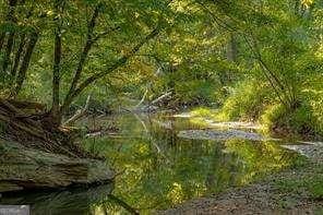 view of nature