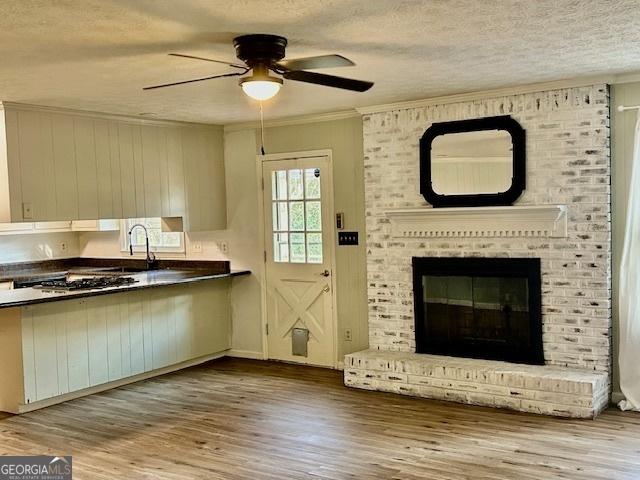 interior space with a fireplace, sink, light wood-type flooring, crown molding, and a textured ceiling