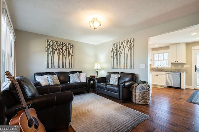 living room with sink and dark wood-type flooring