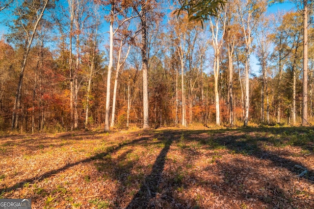 0 Old Dames Ferry Rd, Juliette GA, 31046 land for sale