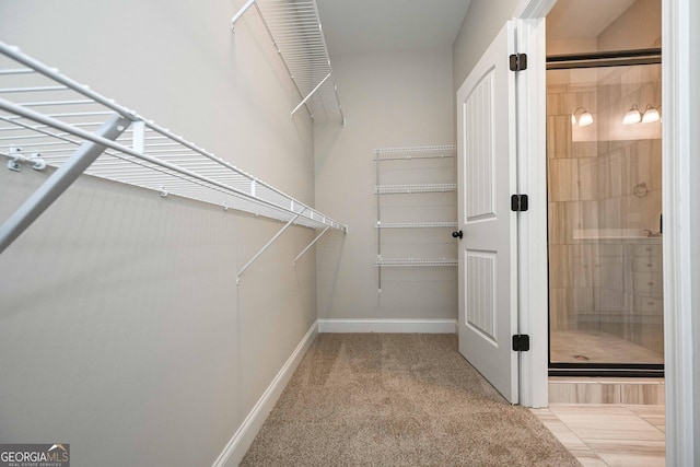 spacious closet featuring light carpet