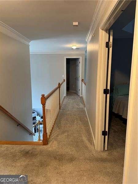 hall featuring crown molding and carpet flooring