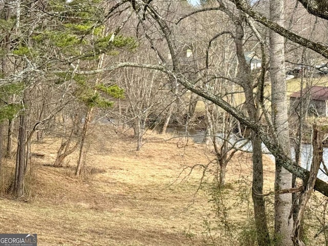 TR2 Ashe Rd, Hayesville, NC 28904
