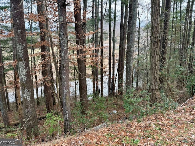 TR2 Ashe Rd, Hayesville, NC 28904