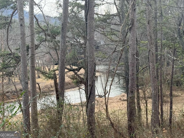 TR2 Ashe Rd, Hayesville, NC 28904