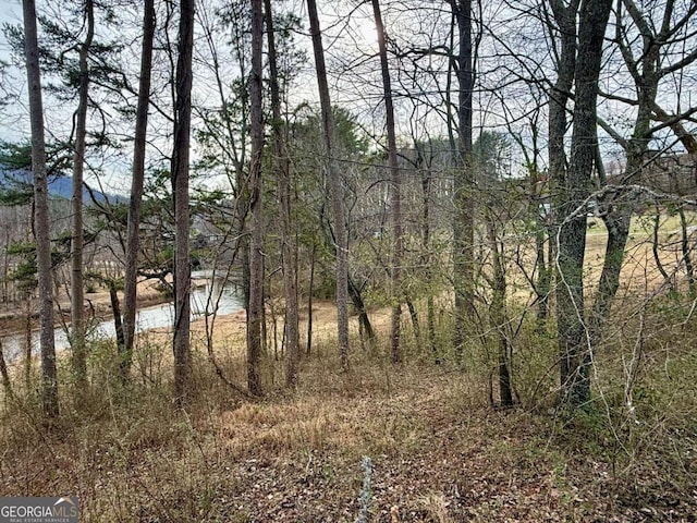 TR2 Ashe Rd, Hayesville, NC 28904