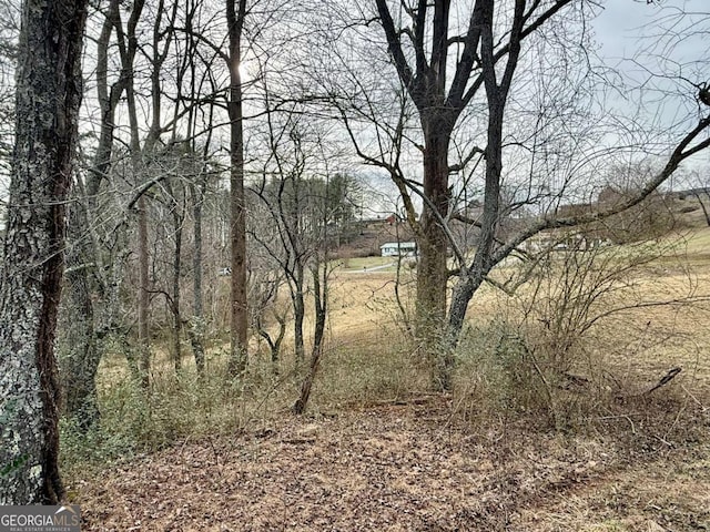 TR2 Ashe Rd, Hayesville, NC 28904
