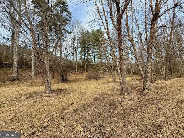 TR2 Ashe Rd, Hayesville, NC 28904