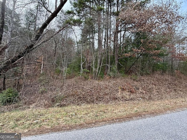 TR2 Ashe Rd, Hayesville, NC 28904