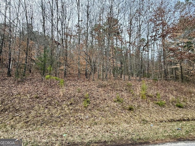 TR2 Ashe Rd, Hayesville, NC 28904