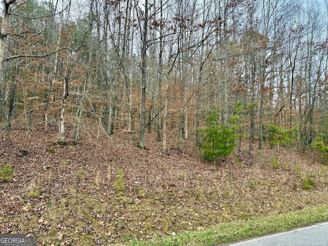 TR2 Ashe Rd, Hayesville, NC 28904