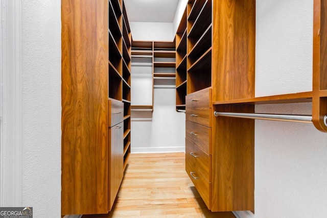 spacious closet featuring light wood finished floors