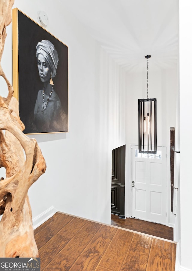 entrance foyer featuring dark hardwood / wood-style flooring