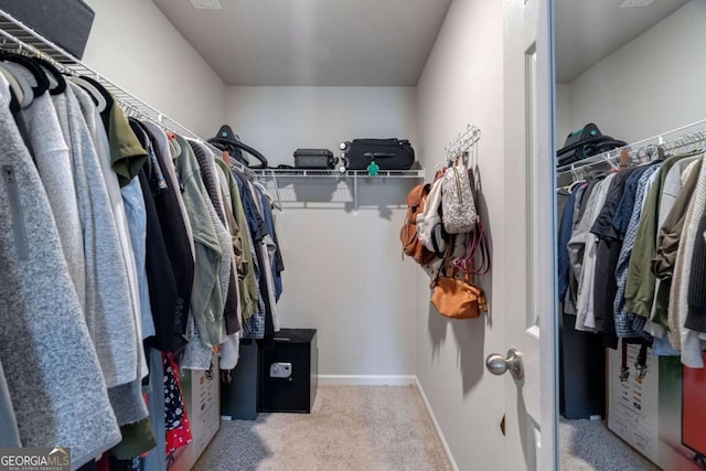 spacious closet with light carpet