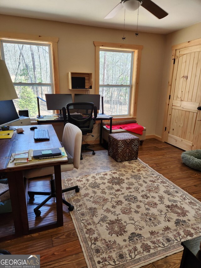 65 Blue Grass Holw, Morganton, GA 30560 - office with baseboards, wood finished floors, plenty of natural light, and ceiling fan