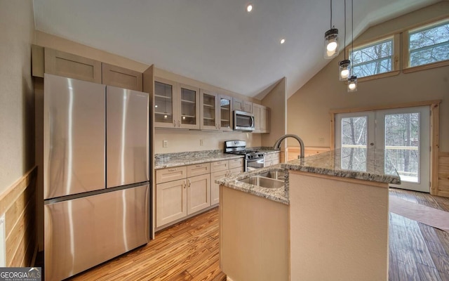 kitchen with light wood finished floors, plenty of natural light, appliances with stainless steel finishes, and a sink