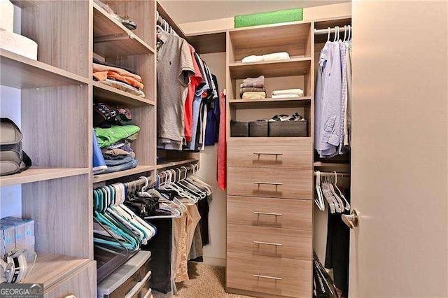 spacious closet with light carpet