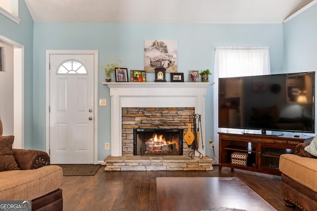 living room featuring wood-type flooring and a fireplace