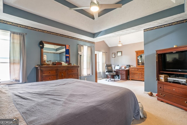 bedroom with a tray ceiling, carpet floors, multiple windows, and a textured ceiling