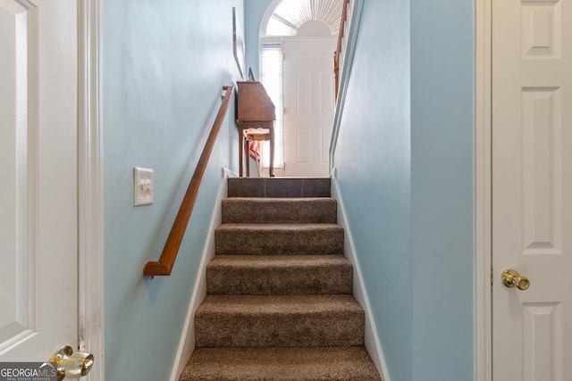 staircase with carpet floors