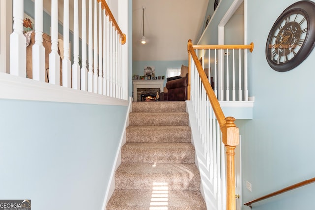 staircase with carpet floors