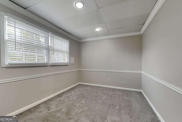 carpeted spare room with crown molding and a drop ceiling