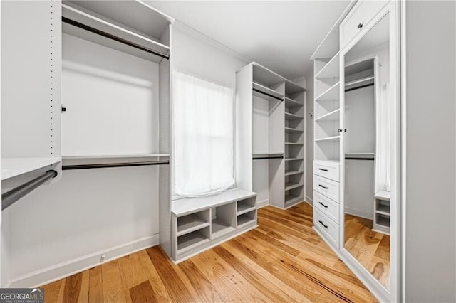 walk in closet featuring light wood-type flooring