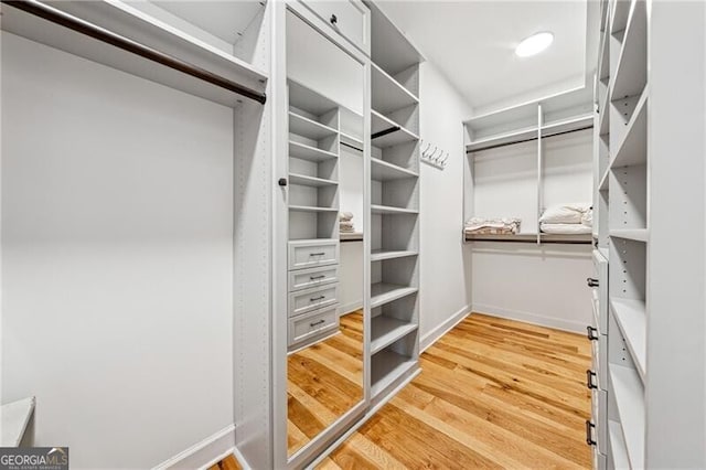 walk in closet with wood-type flooring