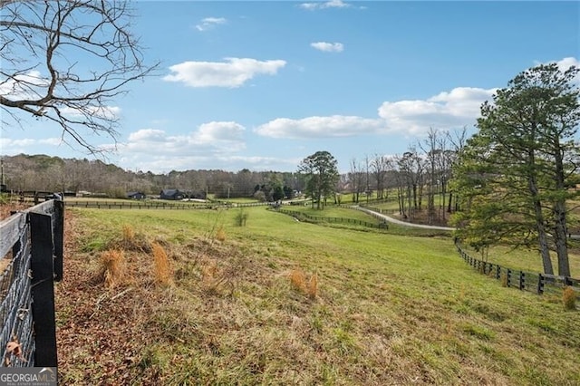 view of yard with a rural view