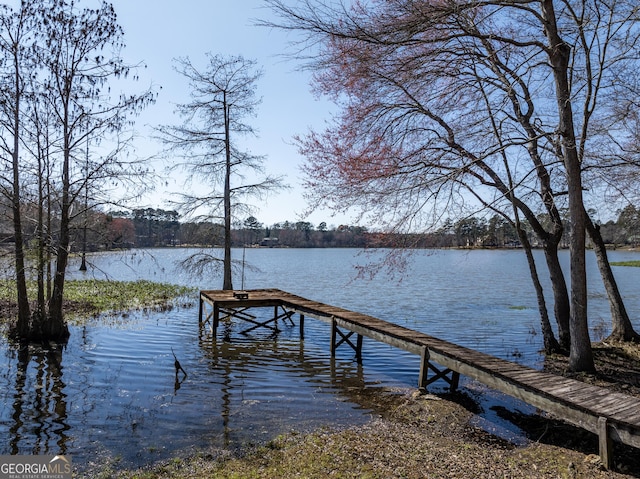 dock area featuring a water view